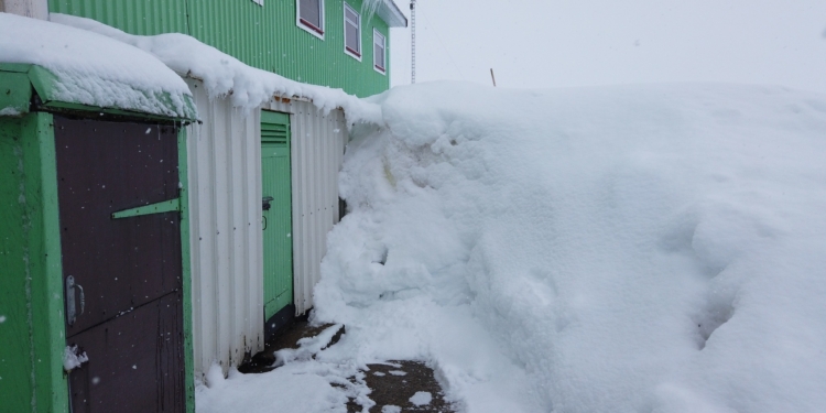 Станцию Вернадского в Антарктиде замело – такого снега тут не было 20 лет (ФОТО)