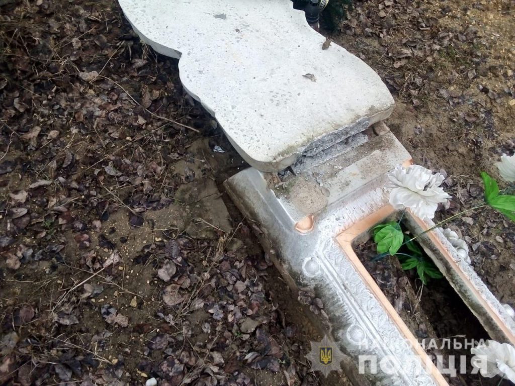 Николаевские полицейские устанавливают лиц, повредивших 10 памятников на кладбище в с. Михайловка (ФОТО) 5