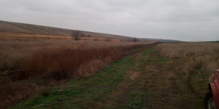 Неудачная охота. На Николаевщине застрелили охотника