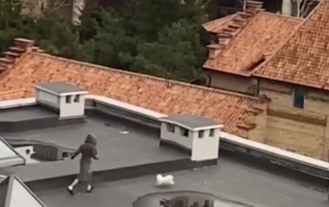 В Одессе мужчина решил выгулять собаку на крыше, но что-то пошло не так (ВИДЕО)