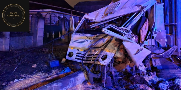 В Николаеве фура снесла дерево и столб освещения (ФОТО)