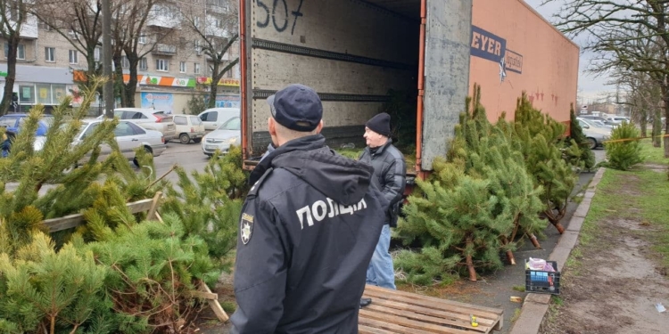 В Николаеве начали проверять елочные базары – уже оставили 4 протокола (ФОТО)