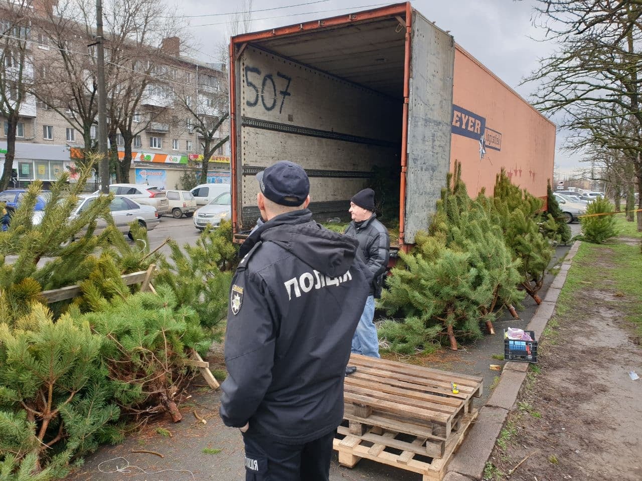 В Николаеве начали проверять елочные базары – уже оставили 4 протокола (ФОТО)