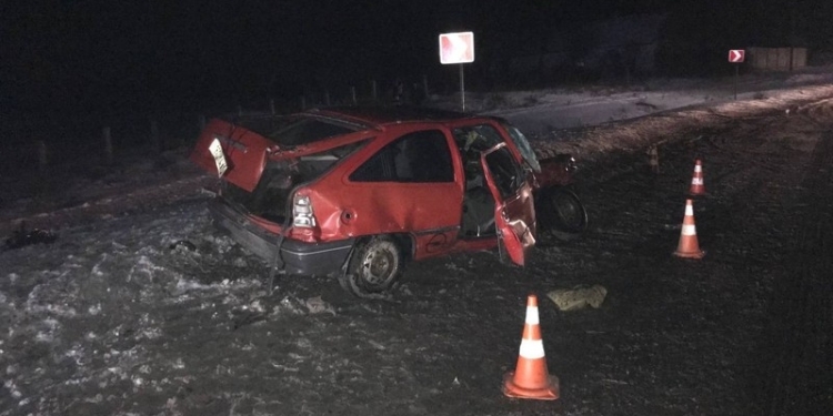 Ночью под Николаевом “Опель” влетел в фуру с елками, два человека в больнице