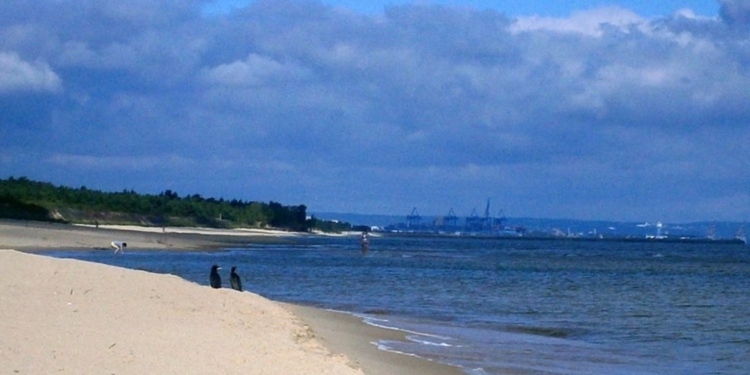 В Польше задержали сухогруз РФ с пьяным экипажем – судно чуть не врезалось в пляж