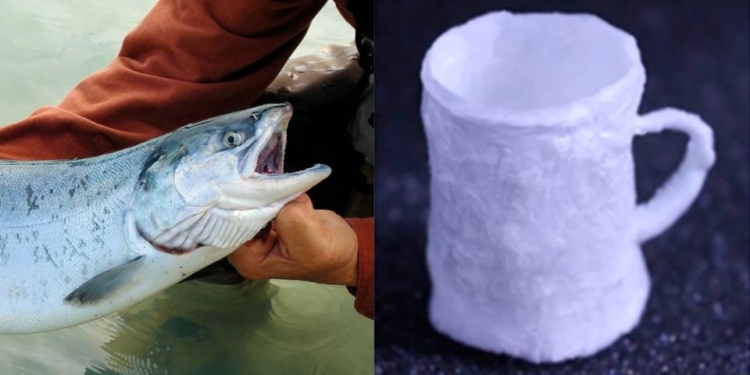 Из спермы лосося. Ученые создали новый вид биопластика