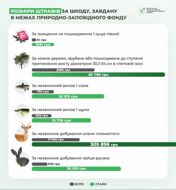 За гриб - 75 гривен, за щуку - 16 тысяч. Правительство ввело новые штрафы за вред природно-заповедному фонду 2
