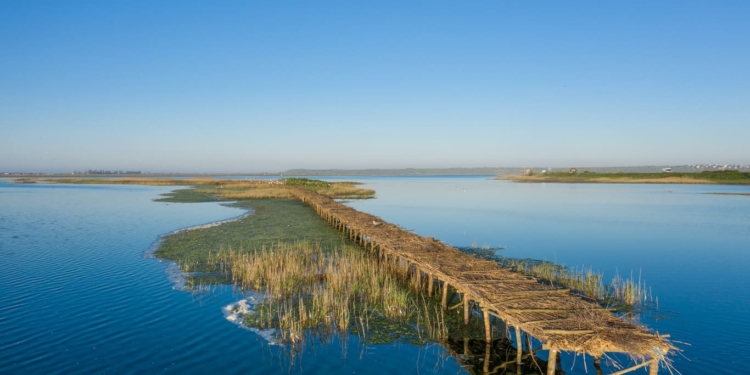 ДТЭК построил 1500 кв.м. птичьих островов на территории РЛП Тилигульский в Николаевской области