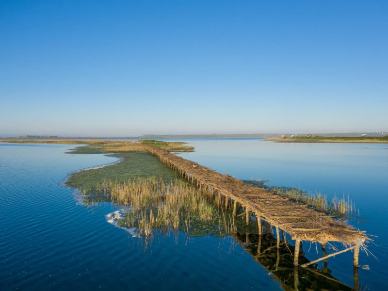 ДТЭК построил 1500 кв.м. птичьих островов на территории РЛП Тилигульский в Николаевской области