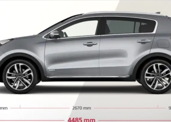 Не последнее доедают. За месяц николаевцы купили новых авто на $7 млн. (ИНФОГРАФИКА)