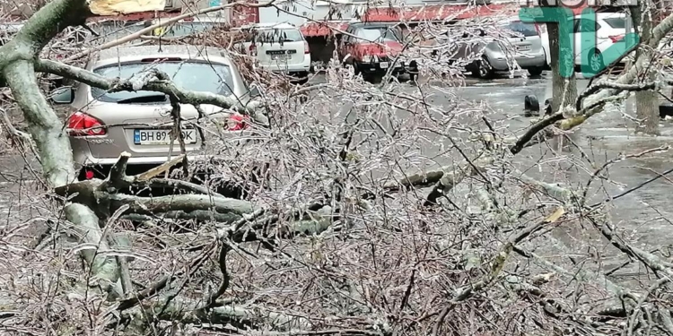 Николаев в ледяном плену. В ГСЧС обещают, что будет еще хуже  (ФОТО, ВИДЕО)