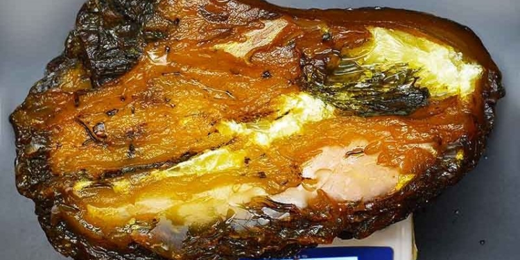 Огромный камень янтаря весом более 5 кг нашли в Ровенской области (ФОТО)