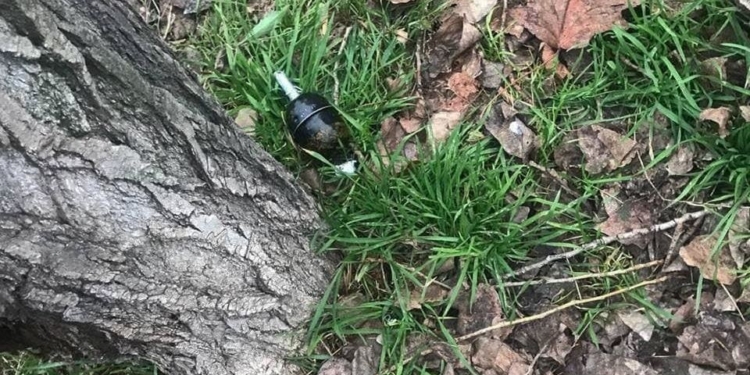 На Намыве под деревом нашли гранату (ФОТО)