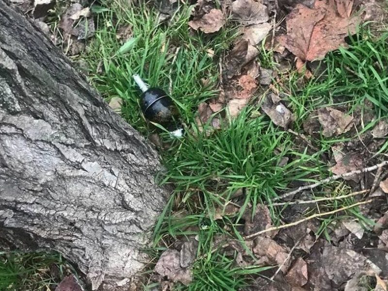 На Намыве под деревом нашли гранату (ФОТО)