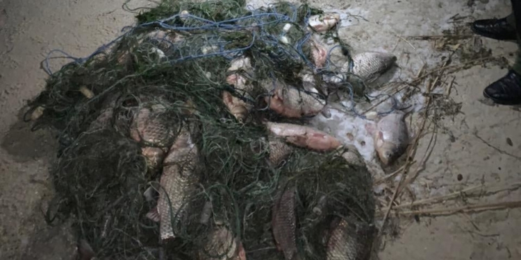 В Днепро-Бугском лимане Николаевский рыбоохранный патруль отловил браконьера с 80 кг карася (ФОТО)