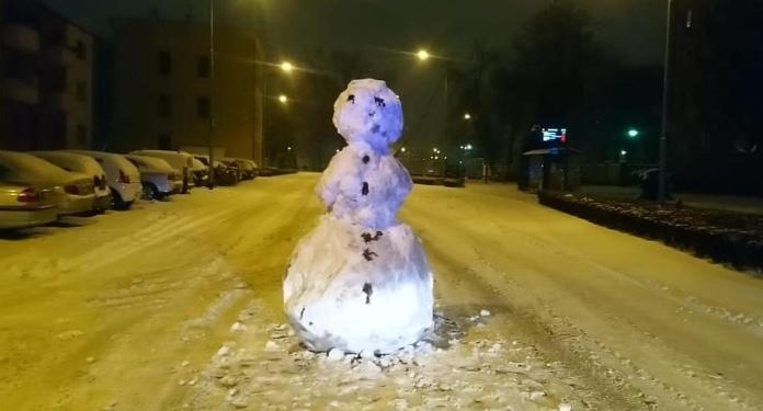 В Польше полицию вызвали из-за снеговика