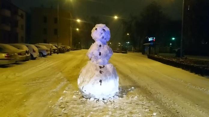 В Польше полицию вызвали из-за снеговика 1