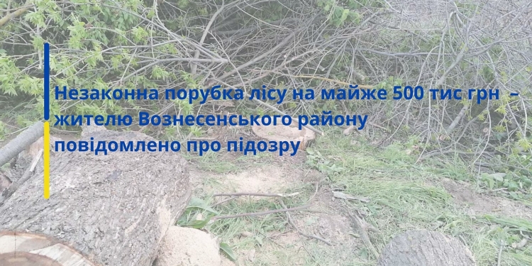 На Николаевщине незаконно вырублено леса почти на полмиллиона гривен – жителю Вознесенского района сообщено о подозрении
