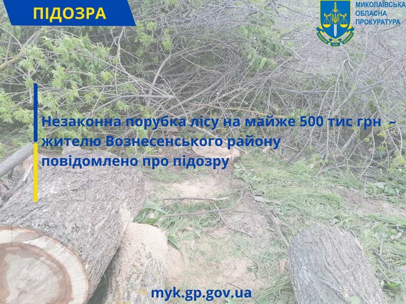 На Николаевщине незаконно вырублено леса почти на полмиллиона гривен – жителю Вознесенского района сообщено о подозрении