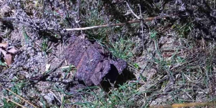 На Николаевщине обезвредили минометную мину