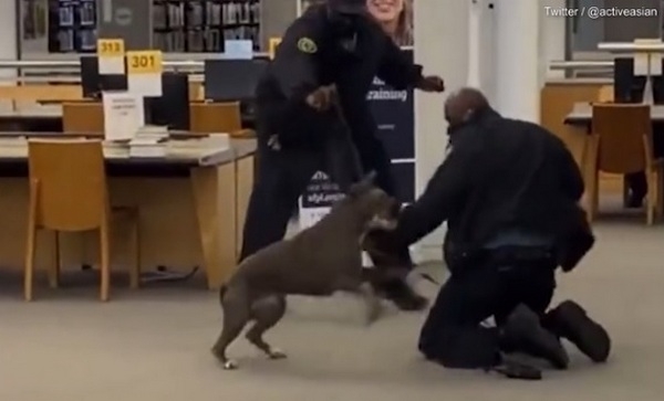 В Сан-Франциско охранник библиотеки, который пытался спасти жизнь мужчины от передозировки наркотиками, был жестоко атакован его питбулем (ВИДЕО)