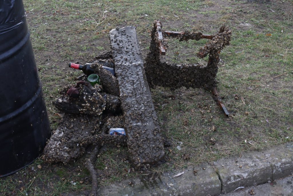 Напередодні Водохреща рятувальники обстежили акваторію Нижньої Набережної в Миколаєві. Що знайшли? (ФОТО) 28