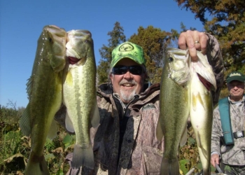 На жителей американского городка перед Новым годом пролился рыбный дождь (ФОТО)