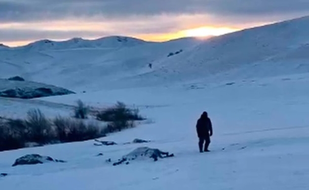 На Алтае браконьеры расстреляли табун лошадей с жеребятами (ВИДЕО)