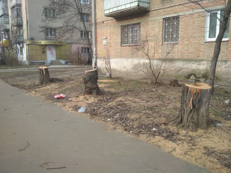 Ради велодорожки в Николаеве массово рубят взрослые деревья (ФОТО)