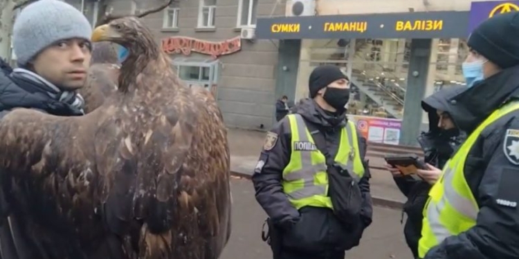 Мэрия Николаева обратилась в полицию по поводу эксплуатации фотографами краснокнижных орланов (ДОКУМЕНТ)