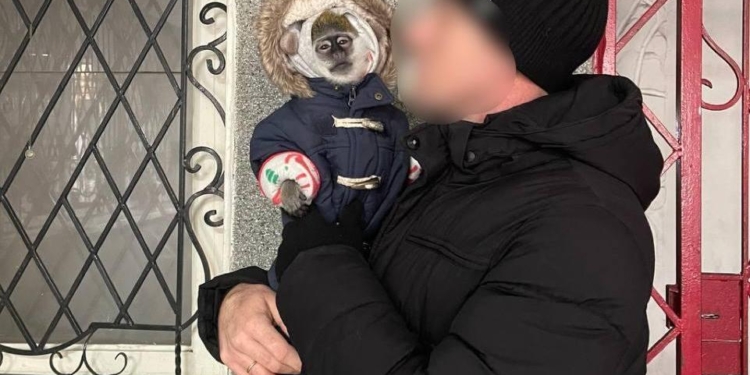 В Николаеве у жестоких и наглых фотографов отобрали обезьяну (ФОТО)