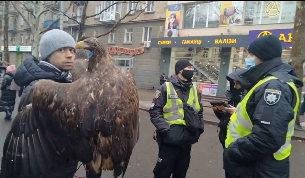 В центре Николаева неизвестные с краснокнижными орланами снова предлагают сфотографироваться с ними - за 800 грн. Полиция бездействует (ВИДЕО) 4