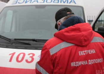 Мужчина с собакой погибли под тоннами навоза, высыпавшегося из неуправляемой фуры