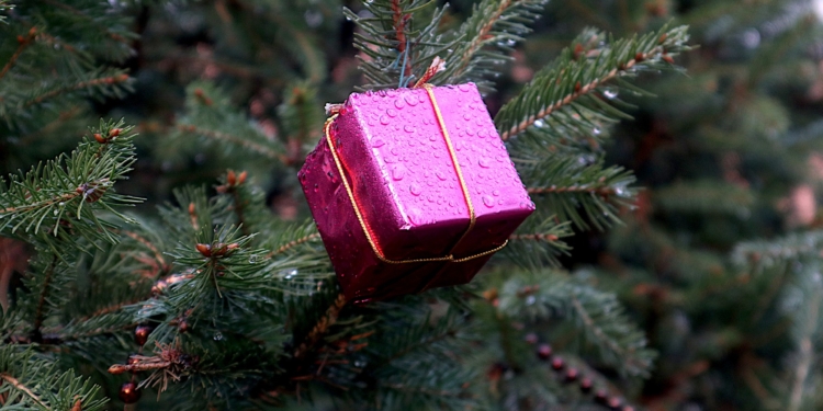 Романтическое путешествие, авто и деньги: что хотят получить украинцы на Новый год