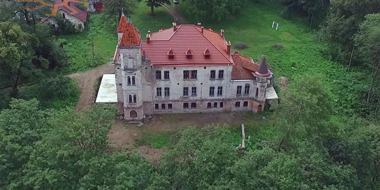 Во Львовской области три семьи выкупили заброшенный дворец и восстанавливают его (ВИДЕО)