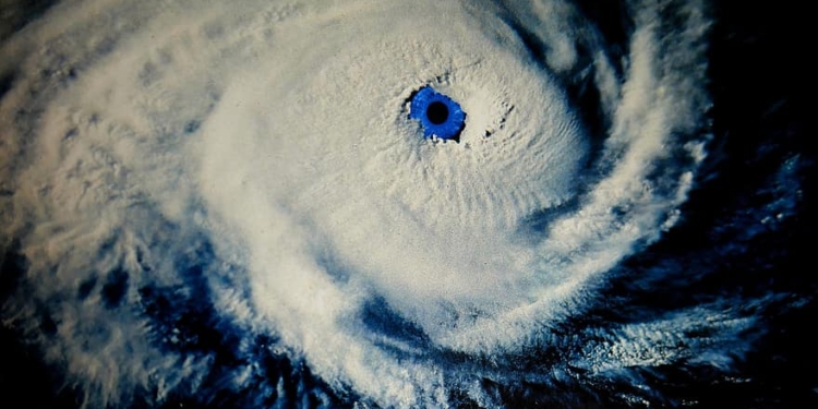 В глазу урагана. “Неизбежность” войны, с какой ноги встал Зеленский и треугольник Порошенко