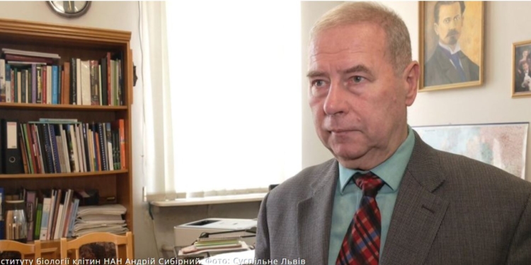 Украинская вакцина: разработки остановлены – власть потеряла к ней интерес