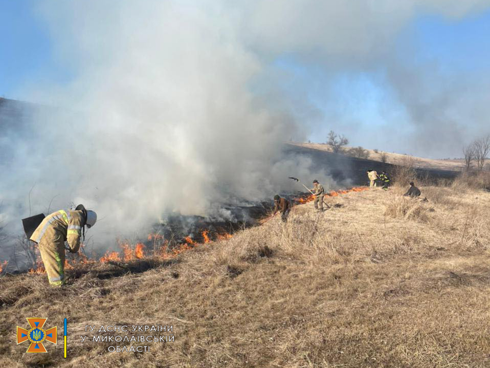 На Миколаївщині загасили пожежу в природному заповіднику (ФОТО) 1