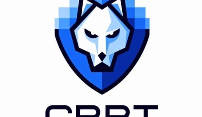 ЕС впервые активирует Силы быстрого реагирования в киберпространстве для помощи Украине