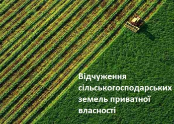 На Миколаївщині в рамках ринку землі більше 7,6 тисяч земельних ділянок змінили власників