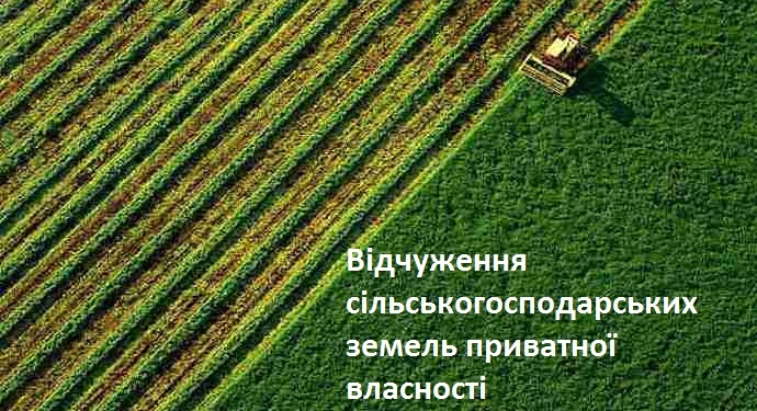 На Миколаївщині в рамках ринку землі більше 7,6 тисяч земельних ділянок змінили власників