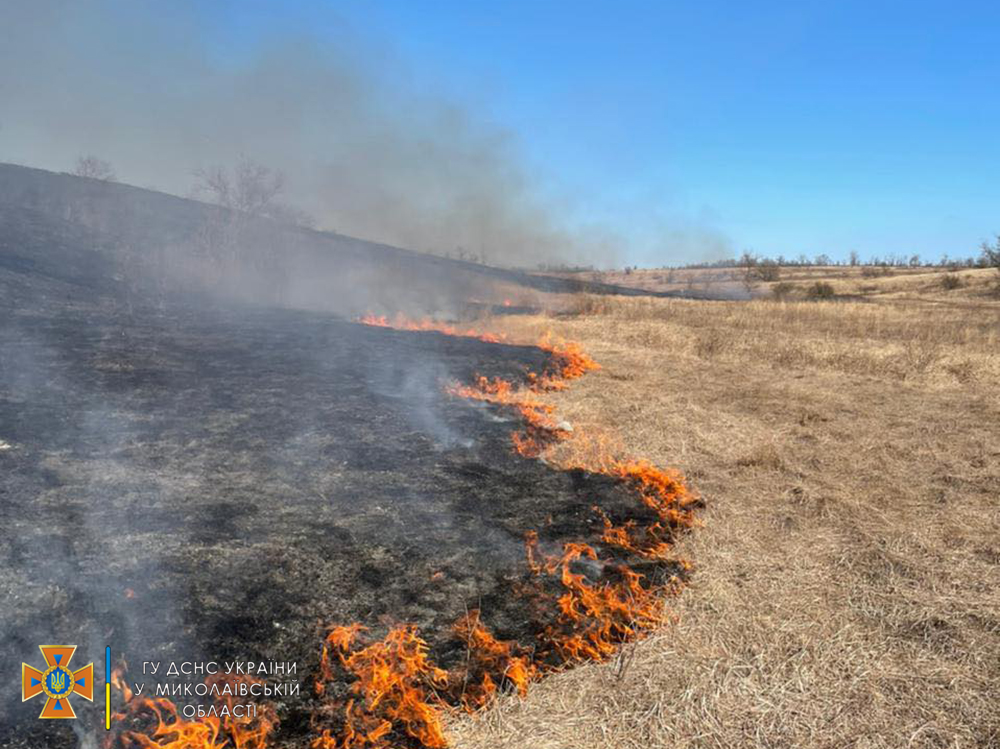 На Миколаївщині загасили пожежу в природному заповіднику (ФОТО) 3