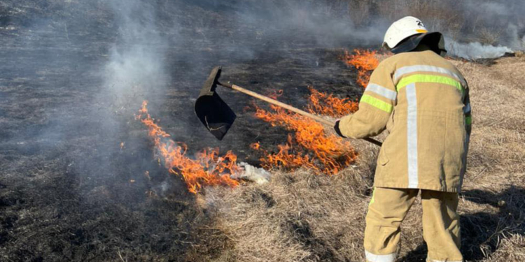 На Миколаївщині загасили пожежу в природному заповіднику (ФОТО)