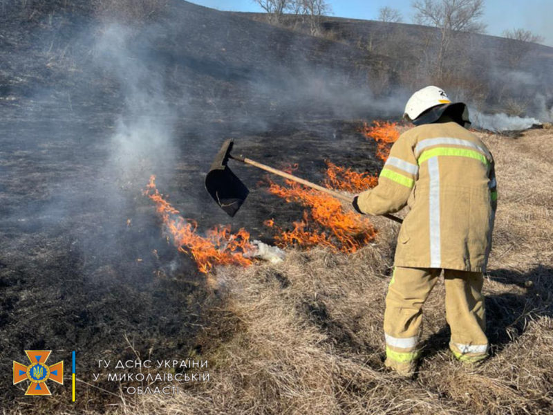 На Миколаївщині загасили пожежу в природному заповіднику (ФОТО)