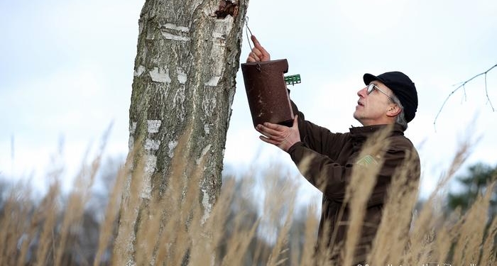 Все из-за потепления. В Германии в борьбе с дубовым шелкопрядом ставку делают на синиц (ФОТО)