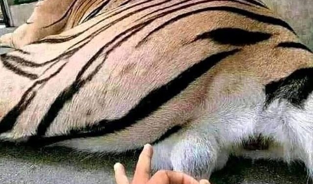 Хромой порядок и вирусное сумасшествие. Применим ли в Украине китайский опыт усмирения несогласных