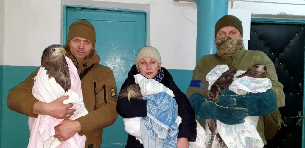 В Николаеве спасли 5 белохвостых орланов и беркута – их бросили в запертом сарае на смерть (ФОТО) 19