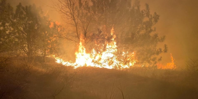 Пожежі в екосистемах, гасіння авто та укріплення пошкодженої обстрілами рашистів п’ятиповерхівки у Вознесенську: інформація від рятувальників Миколаївщини (ФОТО)