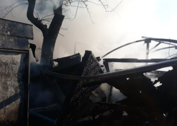 Из-за обстрелов Николаева рашистами загорелись хозпостройка и полигон ТБО (ФОТО)