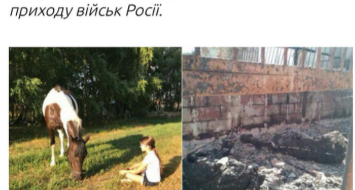 Рашисты под Гостомелем сожгли захваченную конюшню вместе с  32 лошадьми (ФОТО 18+)